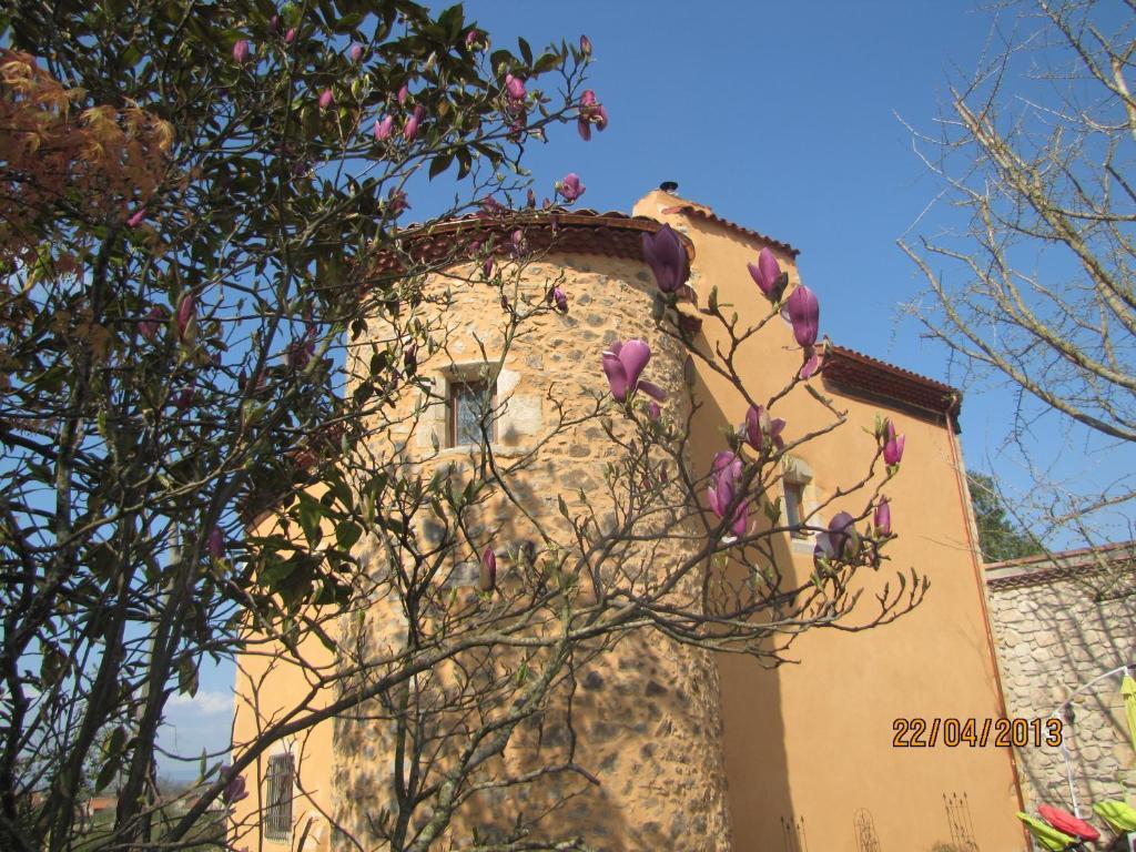 Chateau Des Aiguilles Saint-Rémy-de-Chargnat Exterior foto